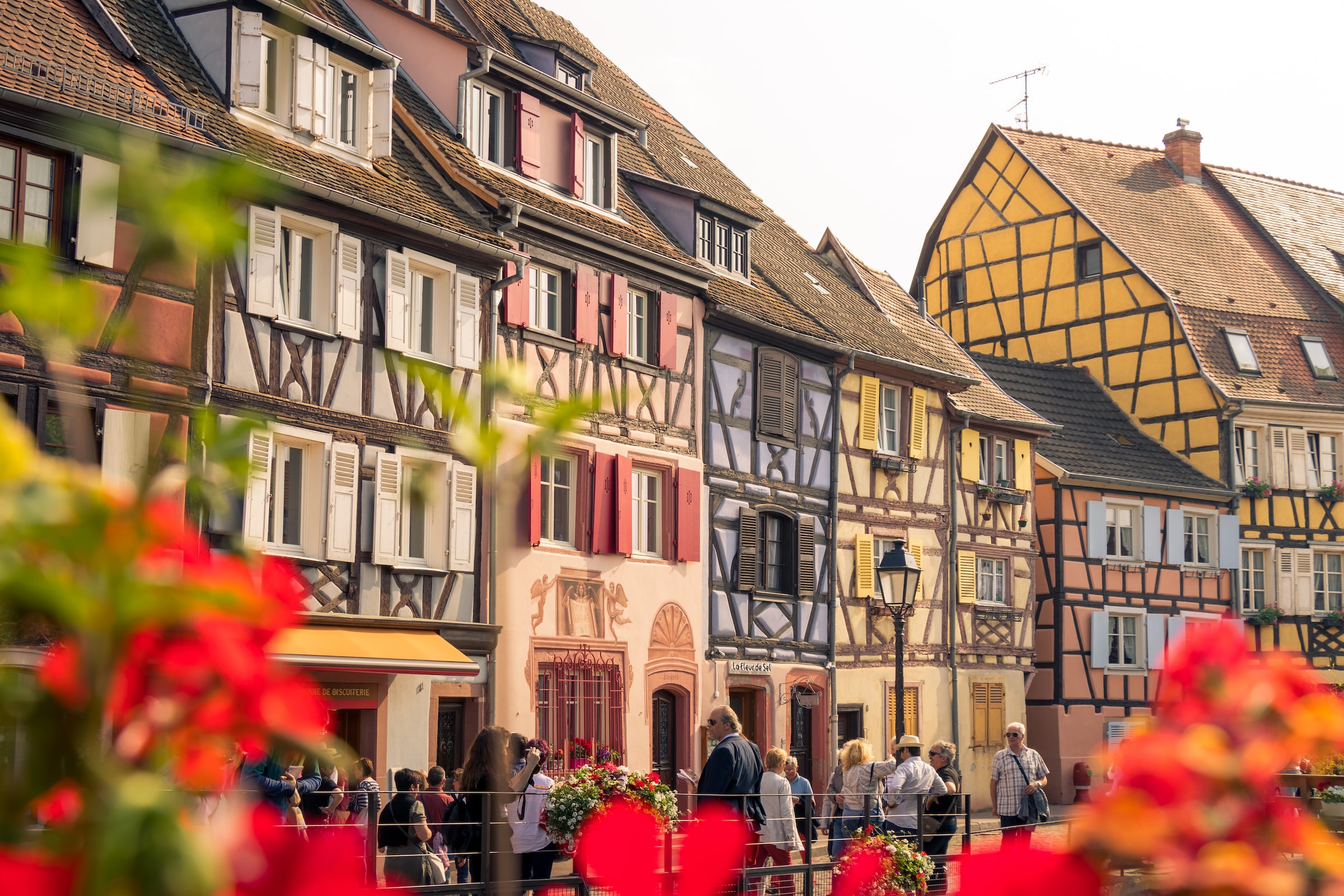 🇫🇷 Alsace - Colmar, Riquewihr, Kaysersberg